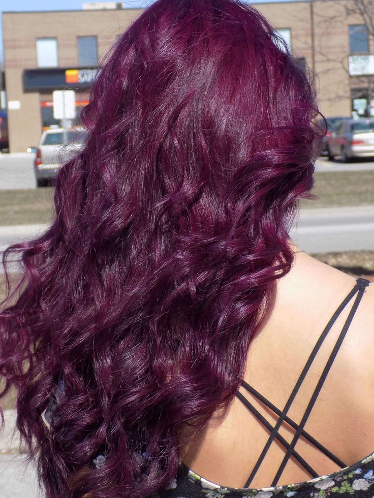 Curly Plum Hair